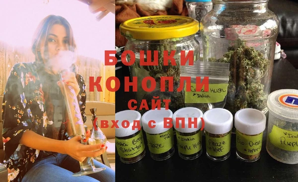 молекула духа Покачи