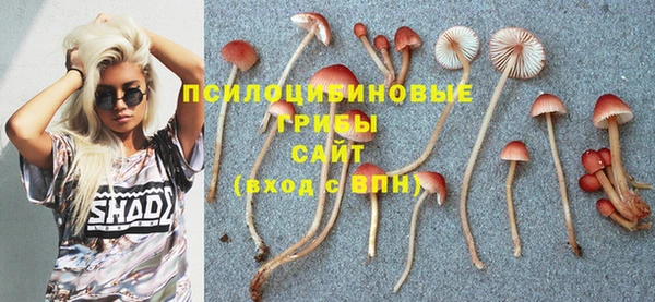 ALPHA PVP Балахна
