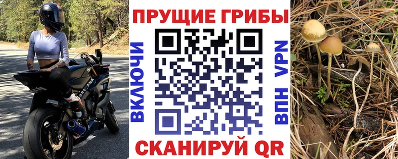 Галлюциногенные грибы прущие грибы  площадка официальный сайт  Вихоревка  KRAKEN маркетплейс 